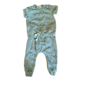 Alligator matching set 12M